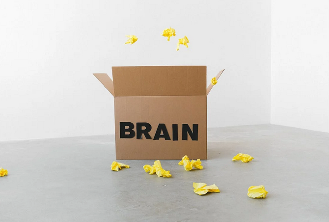 Simple Lifestyle Habits That Boost Brain Function Daily